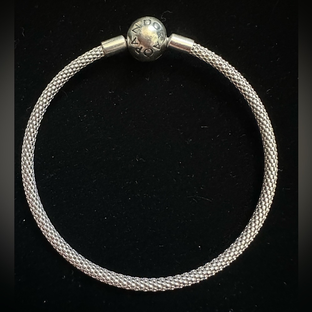 Pandora Moments Mesh Bracelet Only - No Charms